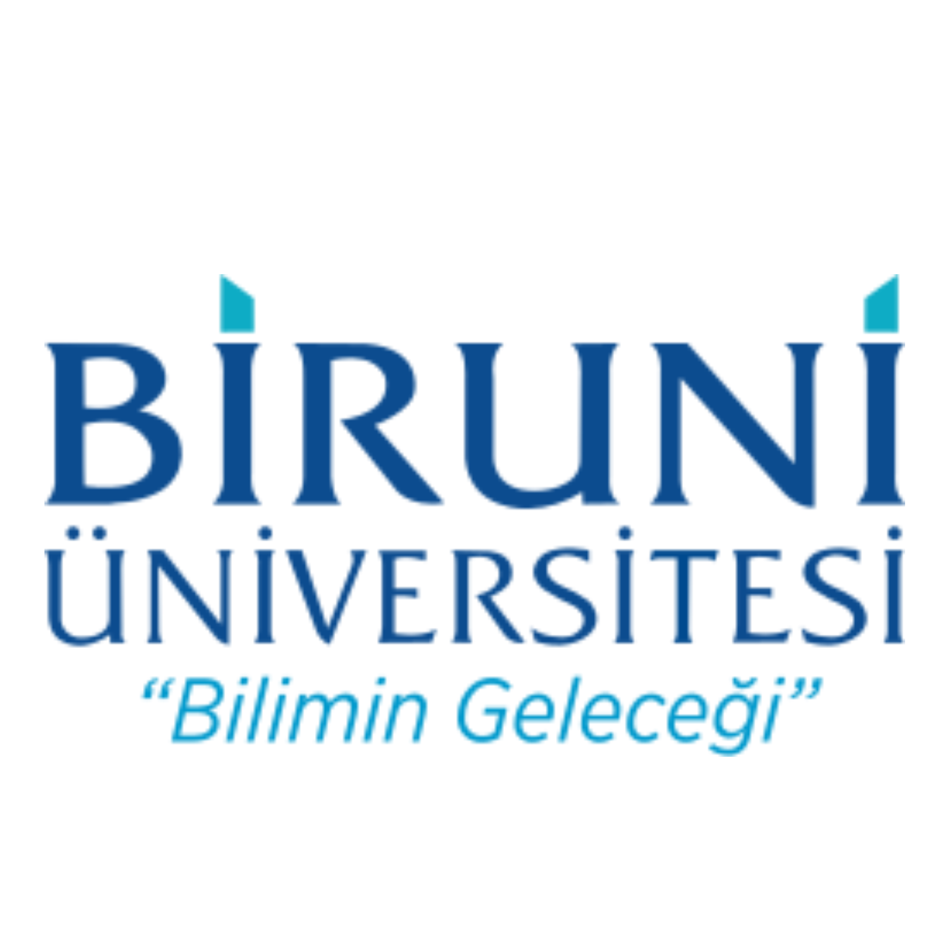 Biruni Üniversitesi logo